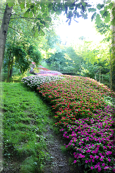 foto Giardini Trauttmansdorff - Boschi del Mondo